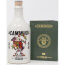 Gin Sul Dry Gin Caminho do Sul Italia