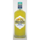 Benvenuti Limoncello
